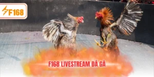 F168 livestream đá gà