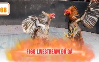 F168 livestream đá gà