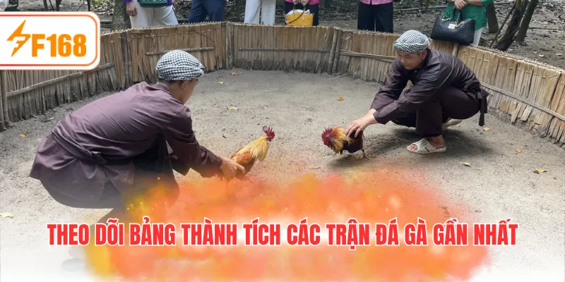 Theo dõi bảng thành tích các trận đá gà gần nhất